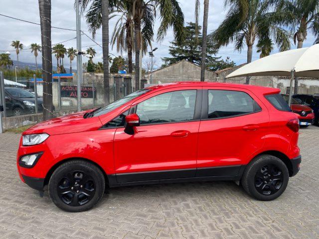 FORD EcoSport 1.5 TDCi 100 CV Start&Stop Business