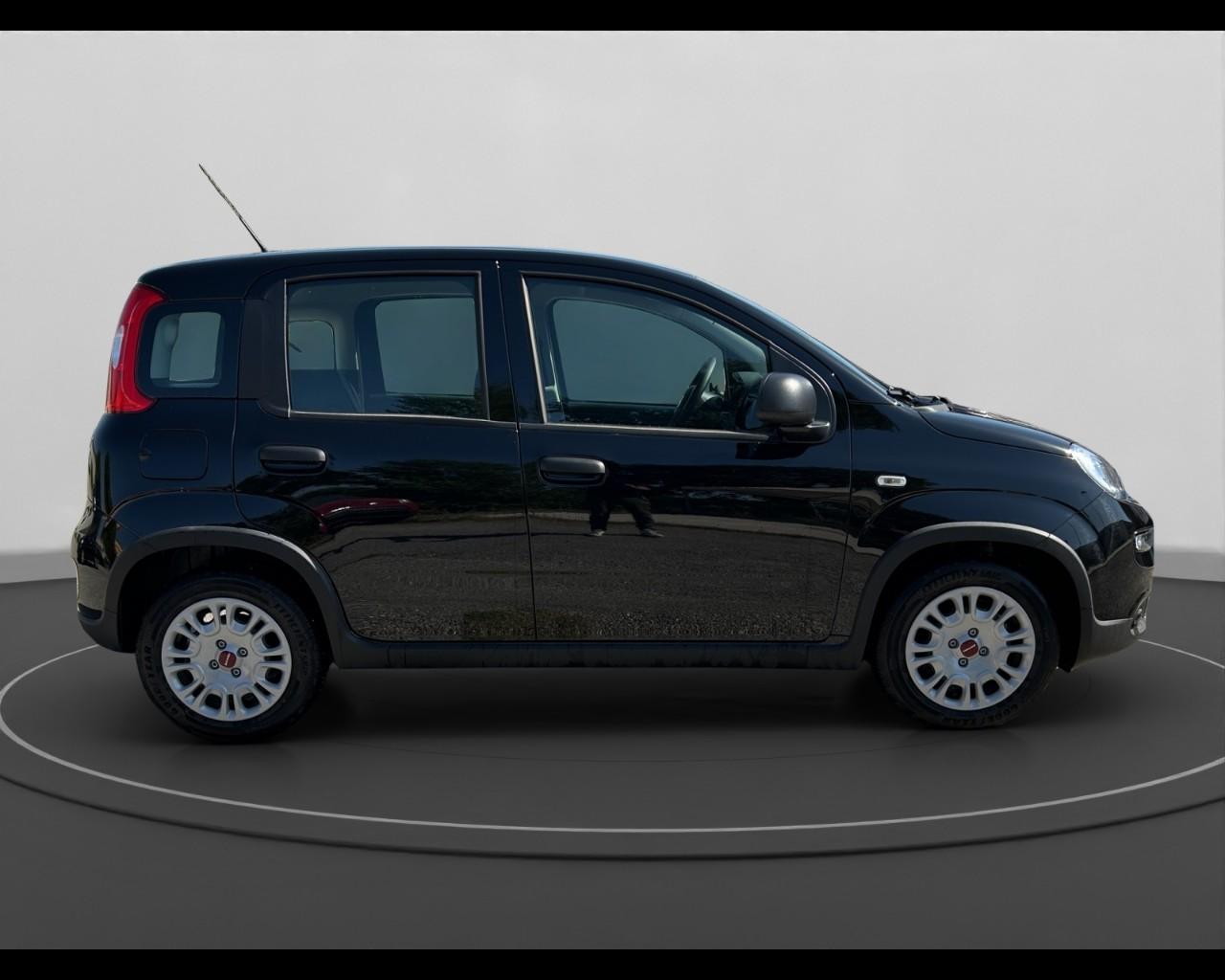 FIAT Panda III 2021 - Panda 1.0 firefly hybrid s&s 70cv