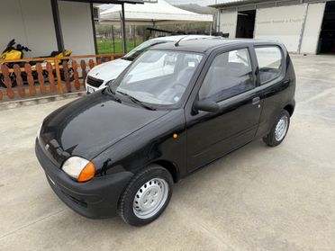 Fiat Seicento 900i cat Young