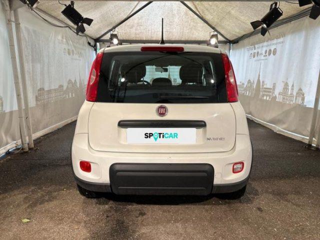 FIAT Panda my21 10 70cv hybrid city life