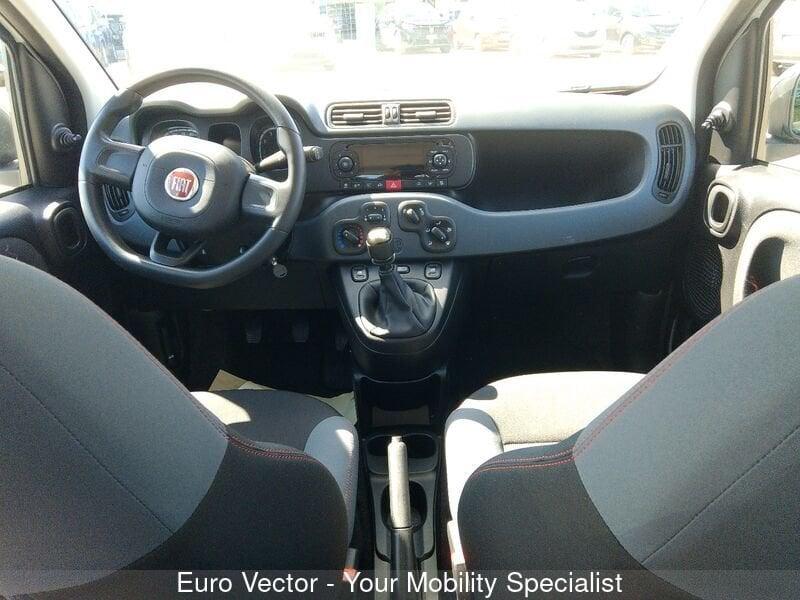 FIAT Panda Panda 1.0 FireFly S&S Hybrid Launch Edition