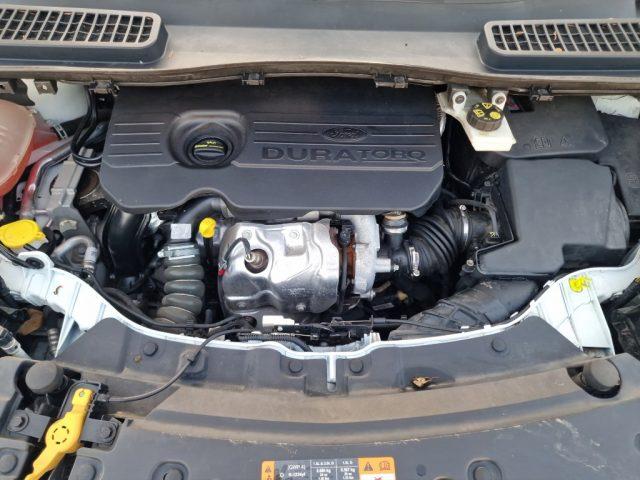 FORD Kuga 1.5 TDCI 120 CV S&S 2WD Business