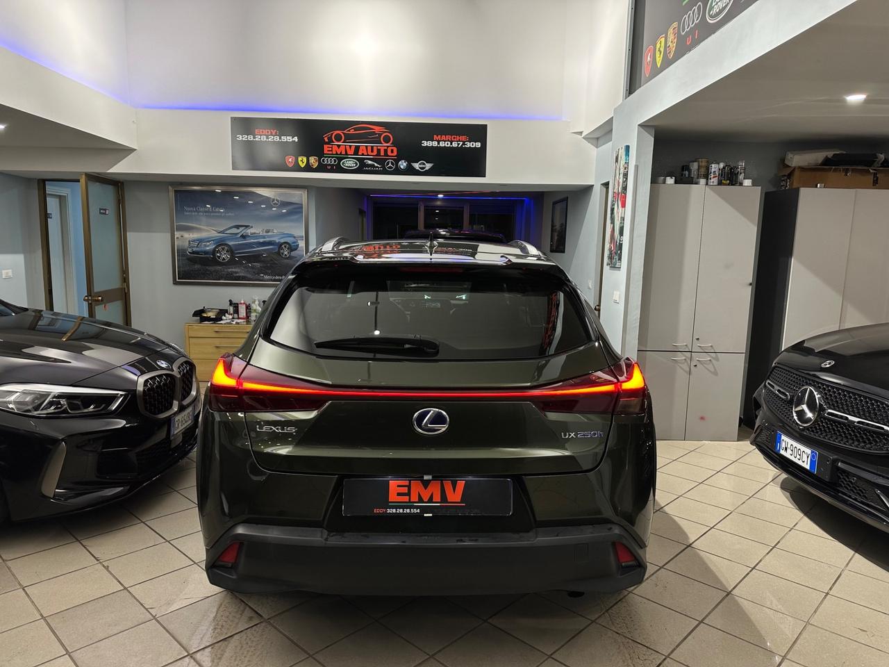 Lexus UX 250h UX 250h iva esposta