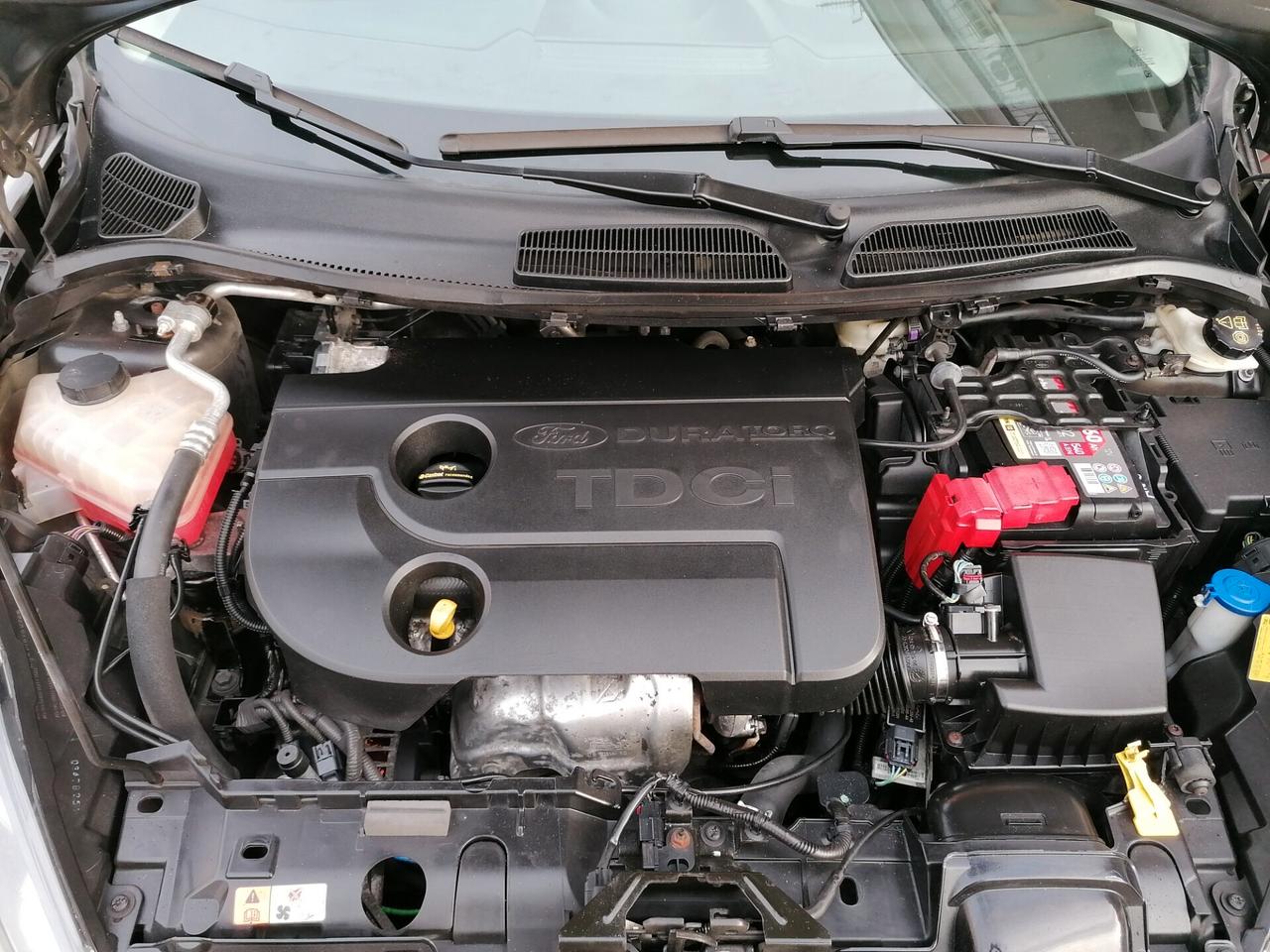Ford Fiesta 1.4 TDCi 70CV 5 porte Titanium