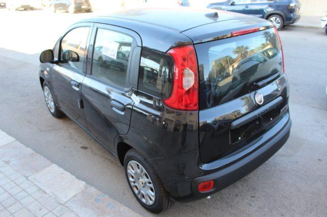 FIAT Panda 1.0 FireFly 65 CV Hybrid Icon-KM0
