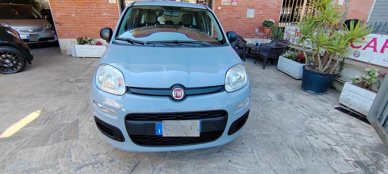 Fiat Panda 1.2 Lounge