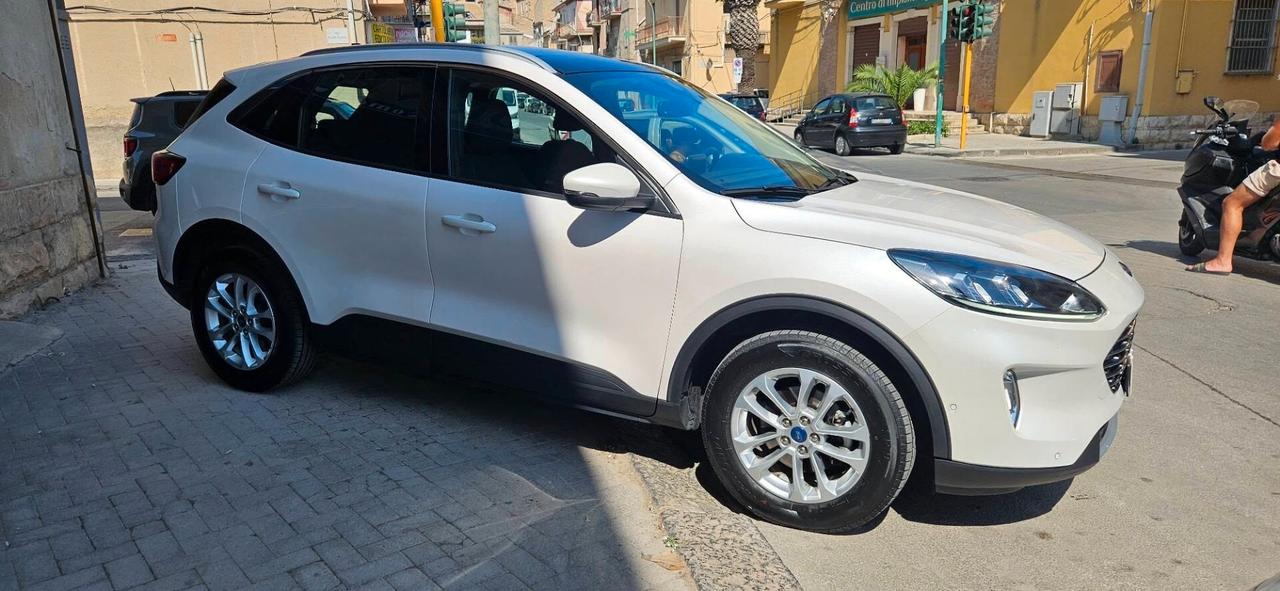 Ford Kuga 2.0 EcoBlue 150 CV aut. AWD Tetto panor. Aprib- Vern. Perla