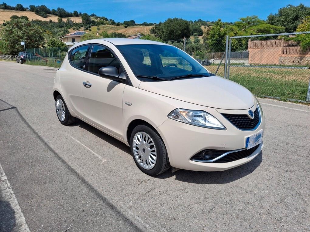 Lancia Ypsilon 1.2 5 porte GPL Ecochic - 2016