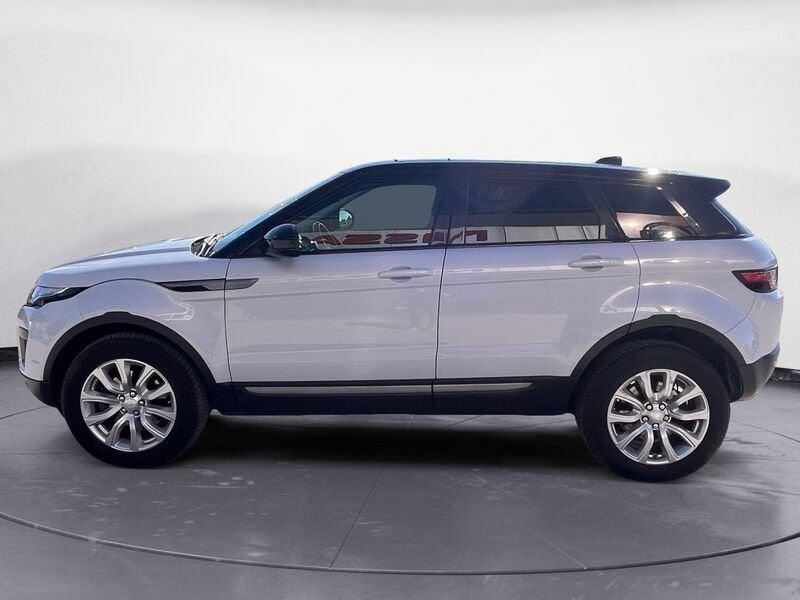 Land Rover RR Evoque Range Rover Evoque 5 Porte 2.0 TD4 150cv Pure Busi Evoque 5 Porte 2.0 TD4 150cv Pure Business auto