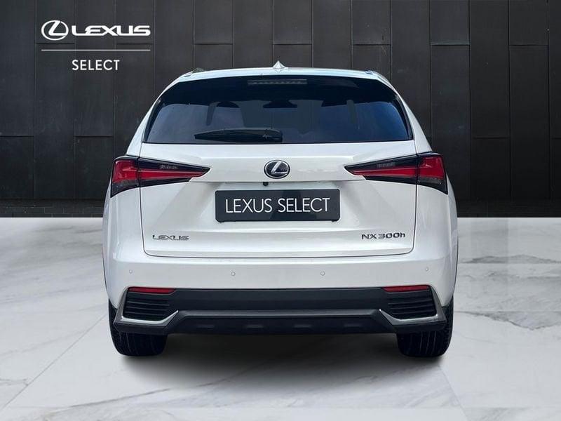Lexus NX NX 300h 2.5 Luxury 4wd cvt IVA ESPOSTA