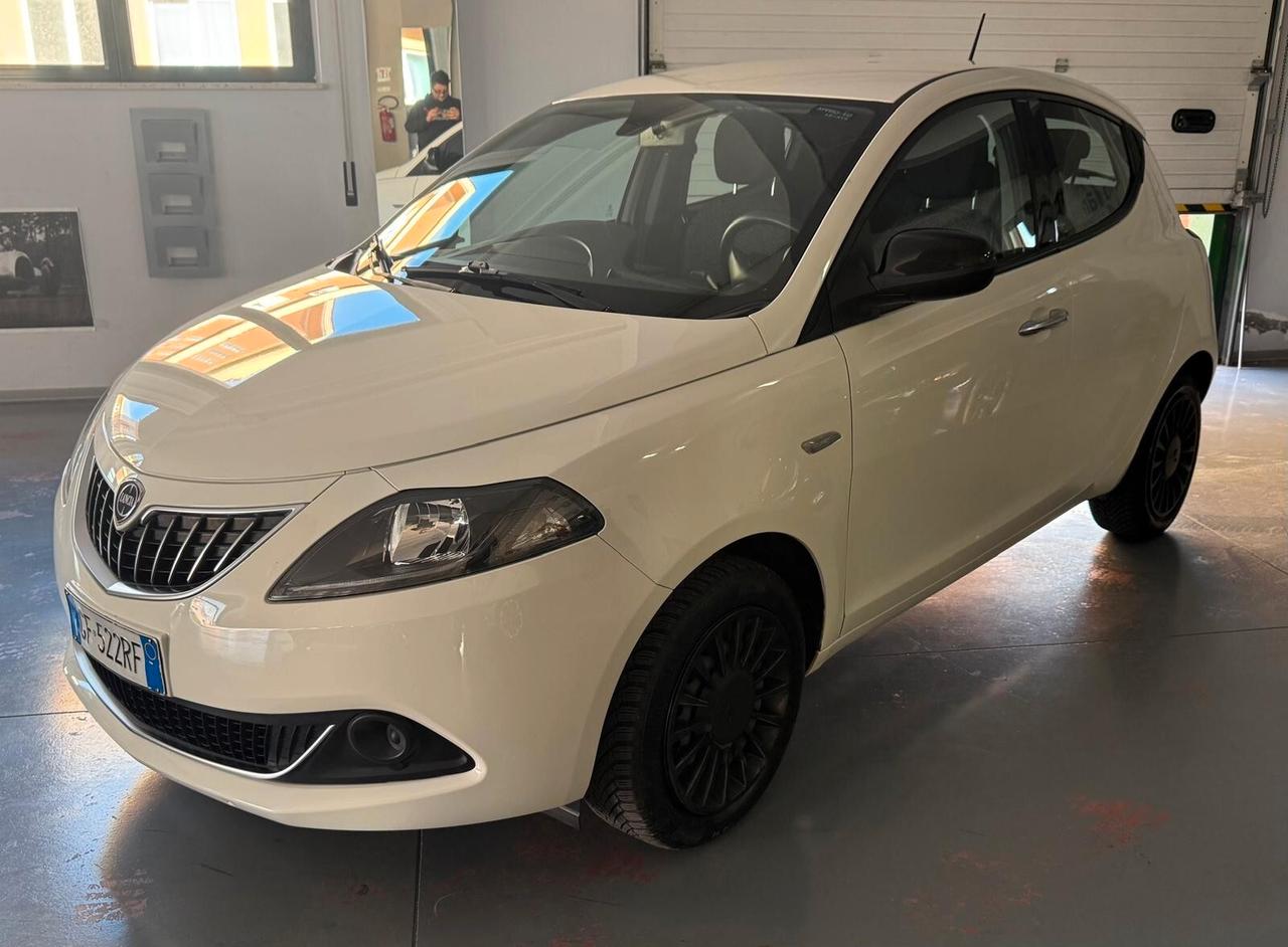 Lancia Ypsilon 1.0 FireFly 5 porte Hybrid Ecochic Silver