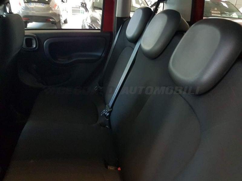 FIAT Panda Cross Panda 1.0 firefly hybrid City Cross s&s 70cv 5p.ti