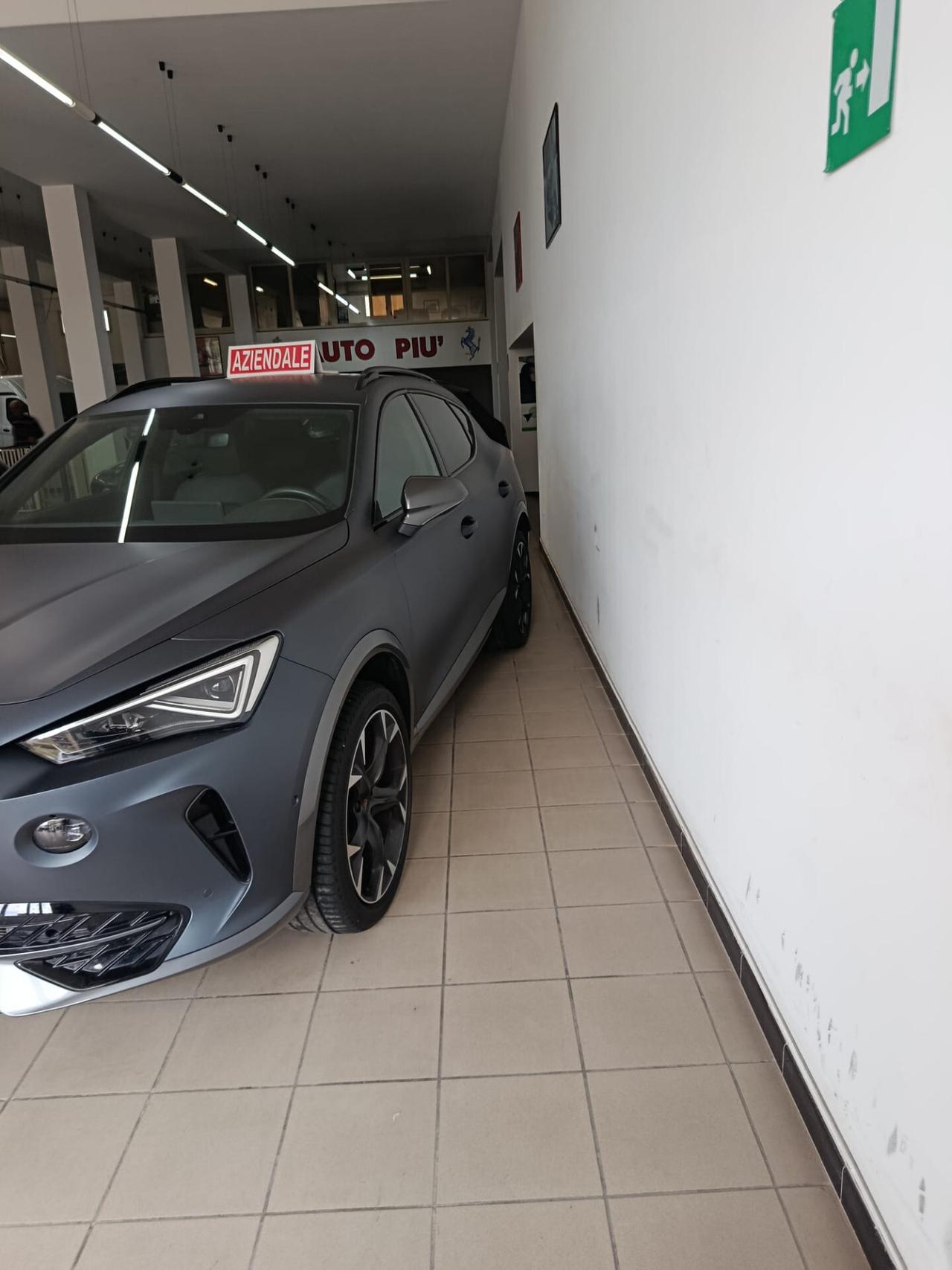 Cupra Formentor 2.0 TDI
