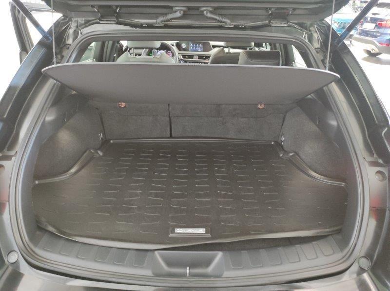 LEXUS UX - UX Hybrid Business