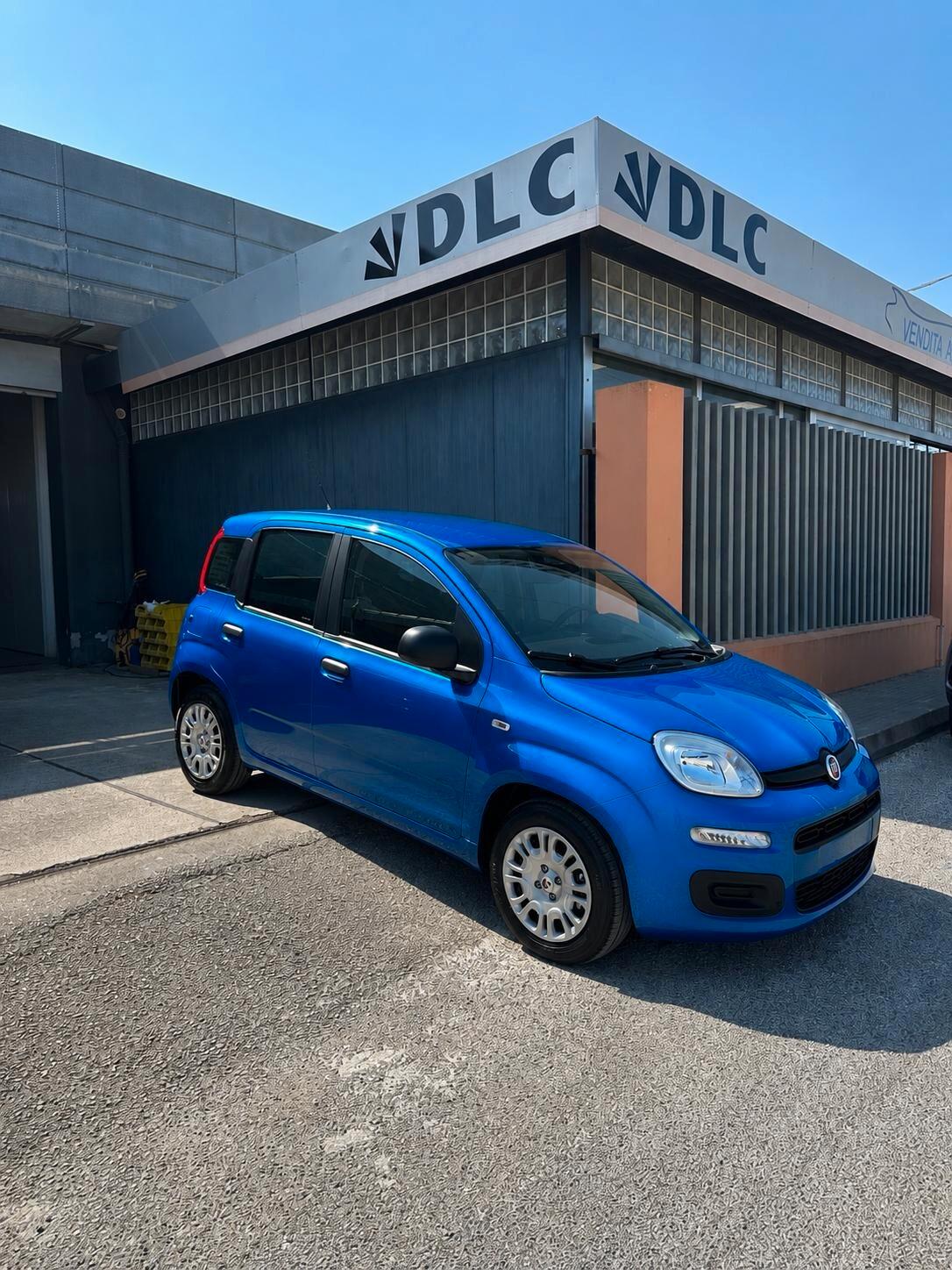 NUOVA Fiat Panda Pandina 1.0 FireFly 65 CV Hybrid Pop