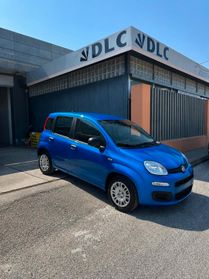 NUOVA Fiat Panda Pandina 1.0 FireFly 65 CV Hybrid Pop