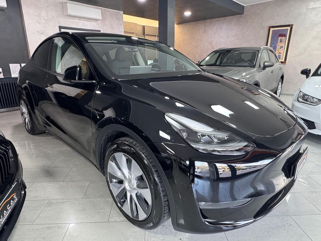 Tesla Model Y Dual Motor Long Range AWD #5359