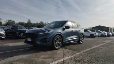 Ford Kuga Kuga 1.5 EcoBlue 120 CV aut. 2WD ST-Line X