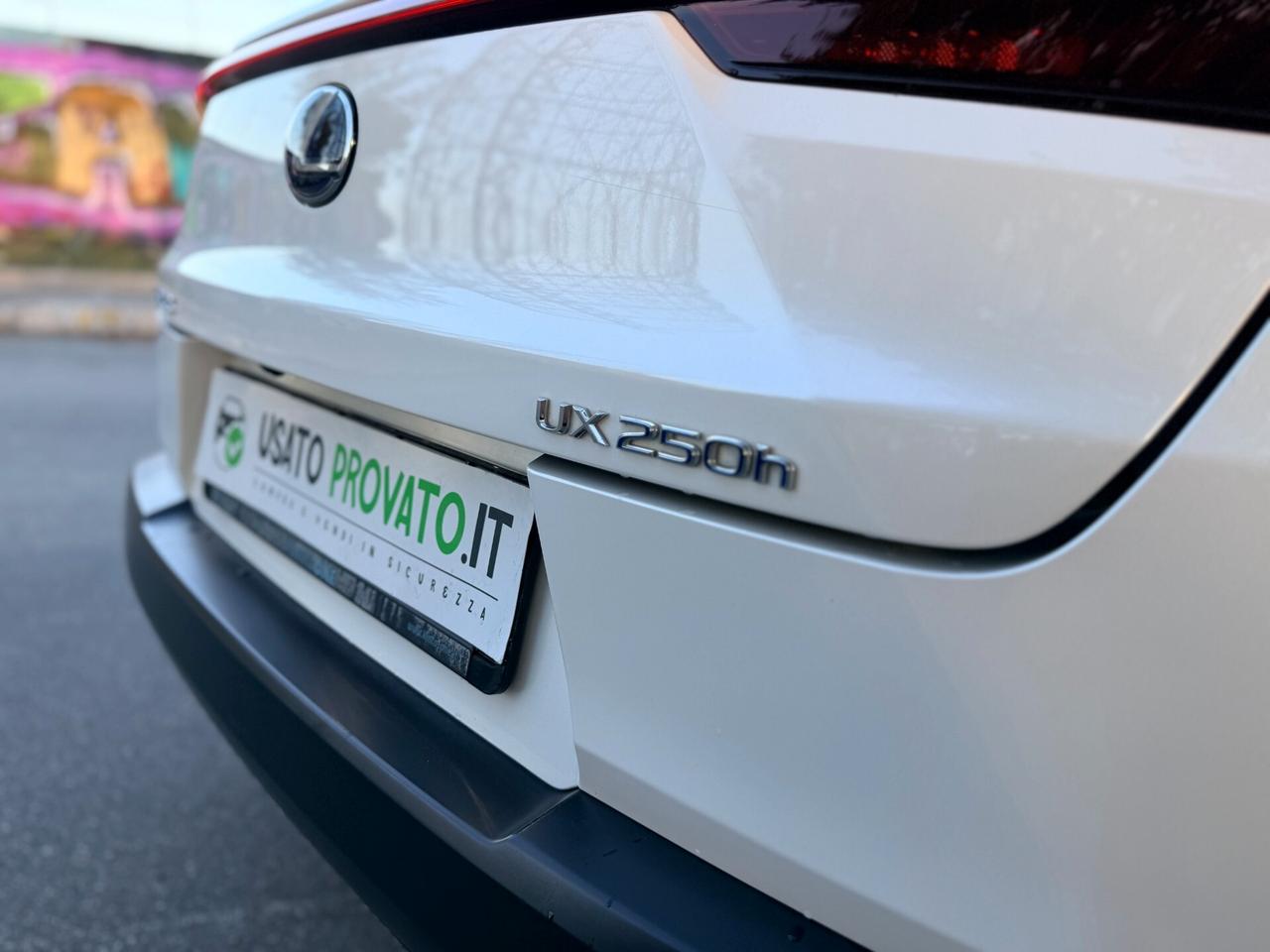 Lexus UX 250 184cv Hybrid Tagliandi e Garanzia LEXUS