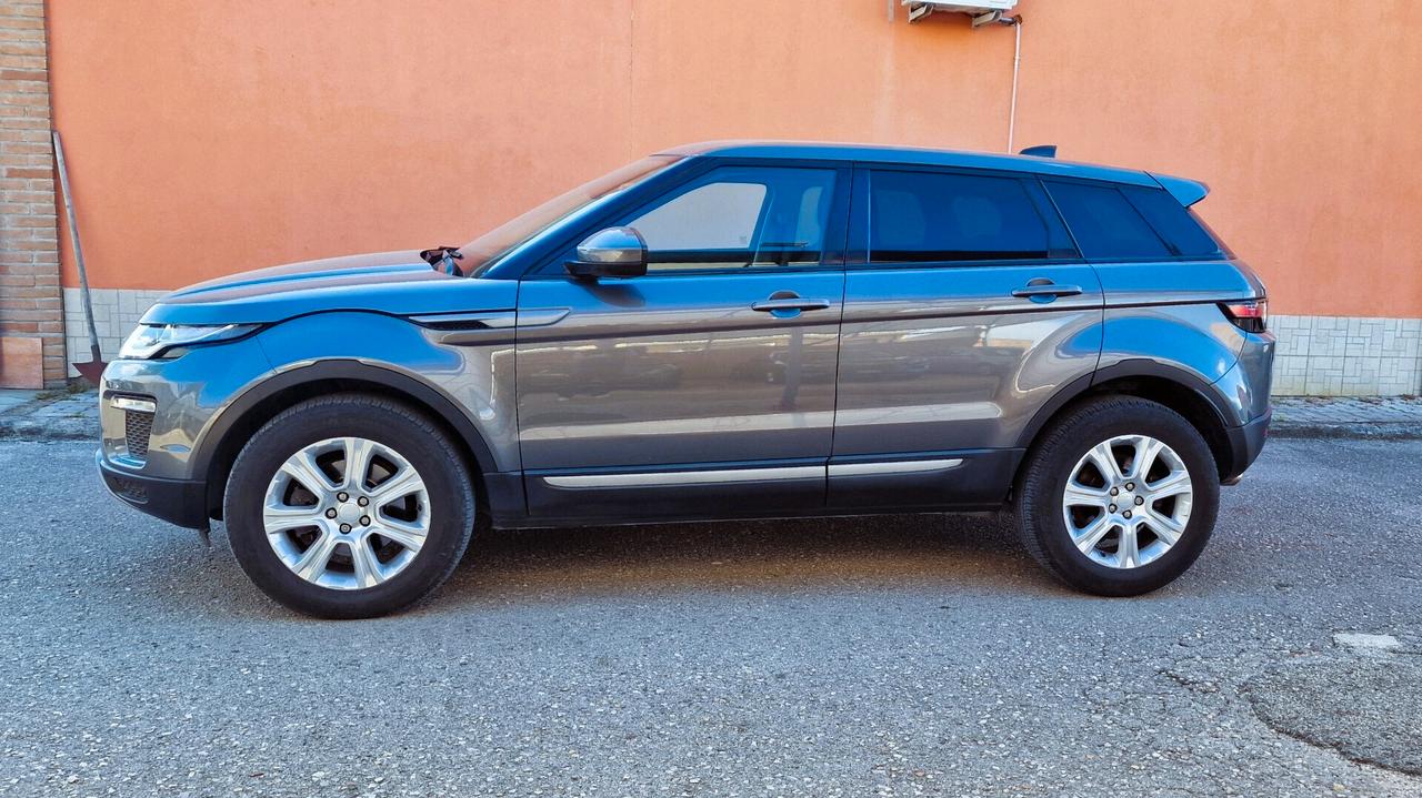 Land Rover Range Rover Evoque Range Rover Evoque 2.0 TD4 150 CV 5p. SE Dynamic