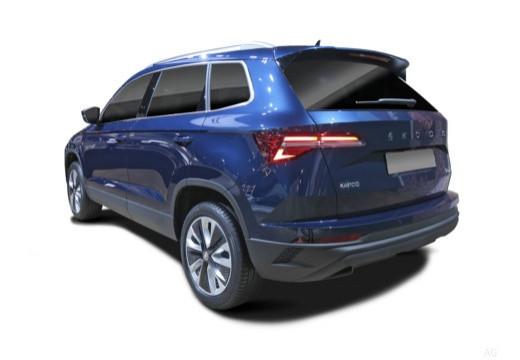 SKODA Karoq 2022 - Karoq 2.0 tdi evo Executive 115cv dsg