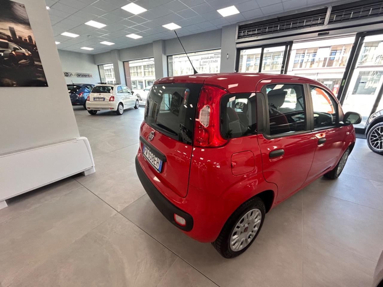 Fiat Panda Lounge 1.2 benzina 69cv 2019 km 91000