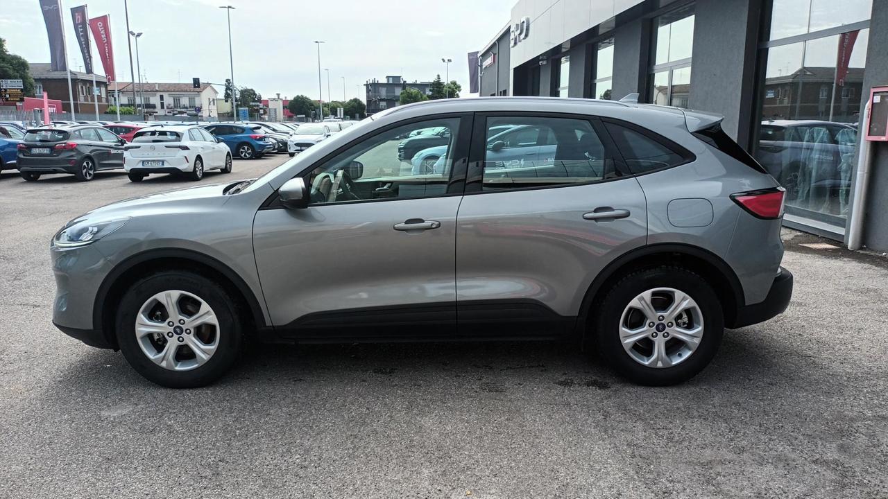 FORD Kuga 3ª serie - Kuga 1.5 EcoBlue 120 CV 2WD Titanium Business