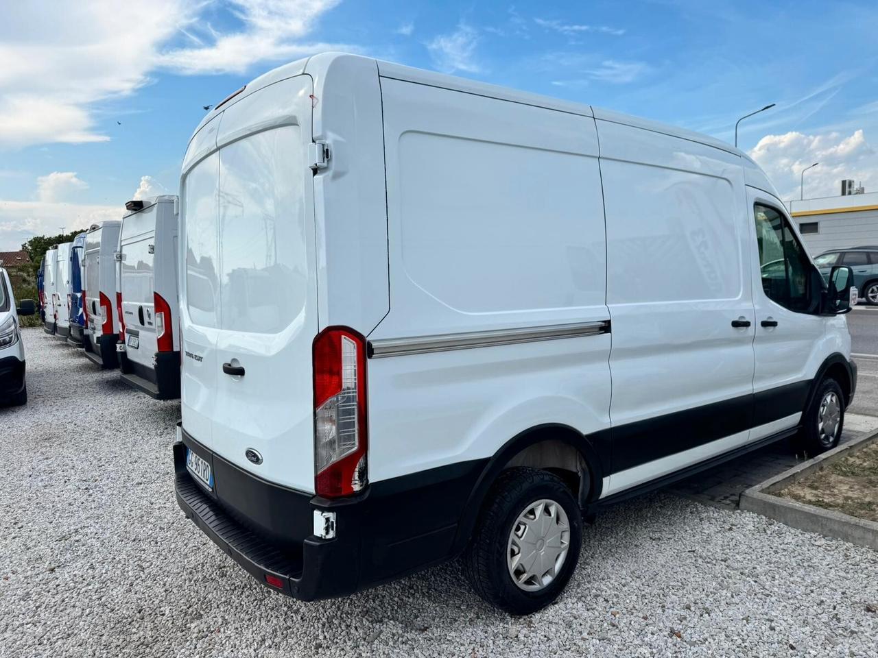 Ford Transit 290 2.0TDCi EcoBlue 130CV PM-TM Furgone Trend