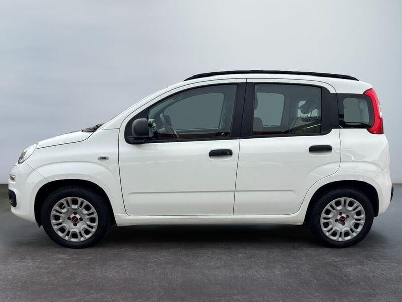 FIAT Panda Panda 1.2 Pop