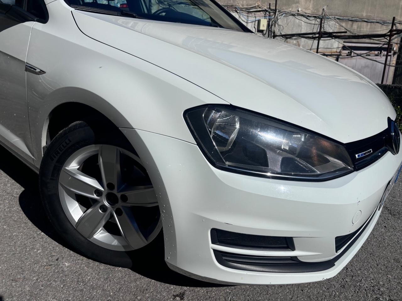 Volkswagen Golf Business 1.4 TGI DSG 5p. Comfortline BlueMotion