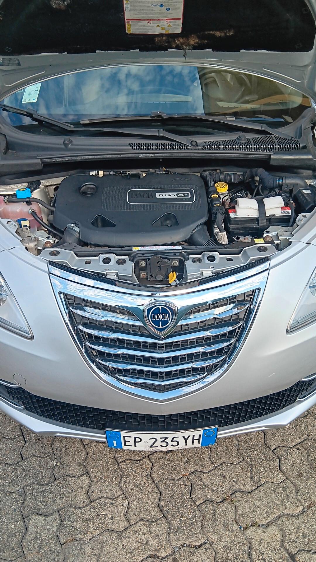 Lancia Ypsilon 0.9 TwinAir 85 CV 5 porte S&S Platinum