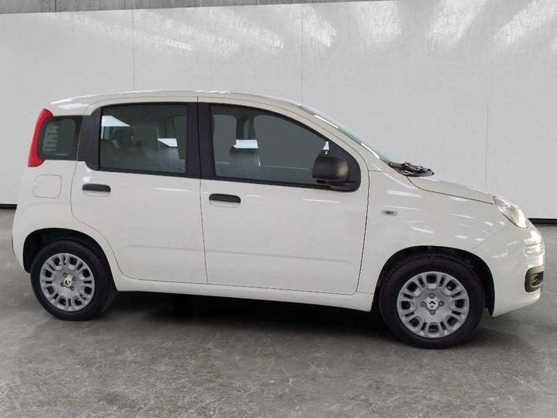 FIAT Pandina 1.0 firefly hybrid Icon s&s 70cv 5p.ti
