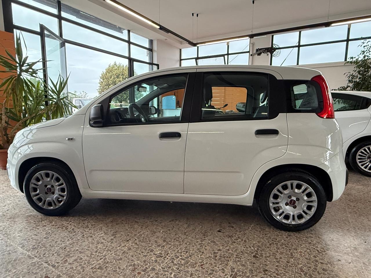 Fiat Panda 1.2 EasyPower Easy GPL