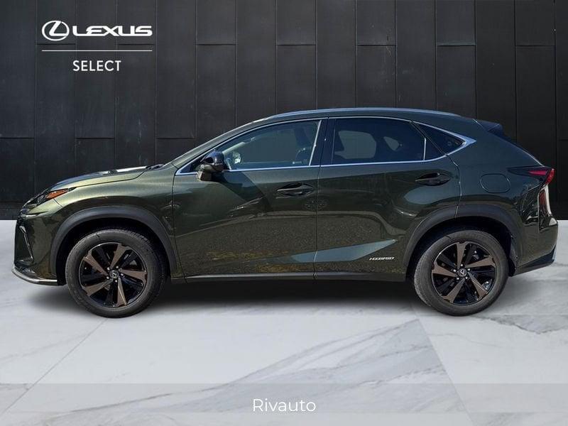 Lexus NX 300 h 2.5 Premium 4wd cvt