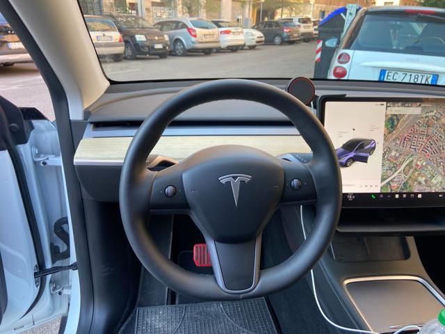 TESLA Model Y RWD WRAPPATA