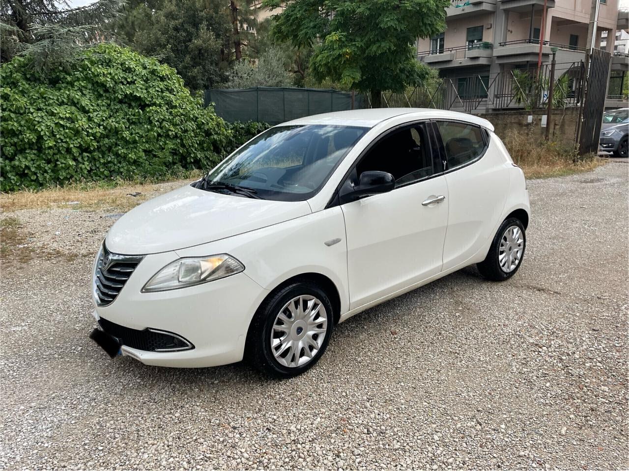 Lancia Ypsilon 1.3 MJT 16V 95 CV 5 porte S&S Platinum