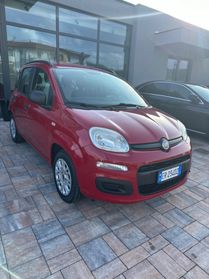 Fiat Panda Ok neo patentati