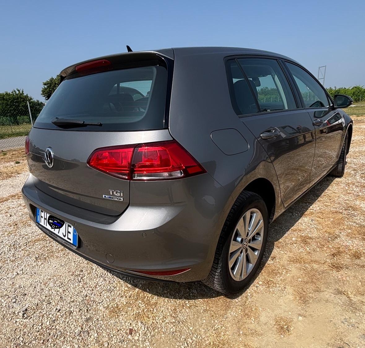 Volkswagen Golf 1.4 TGI 5p. Executive BlueMotion