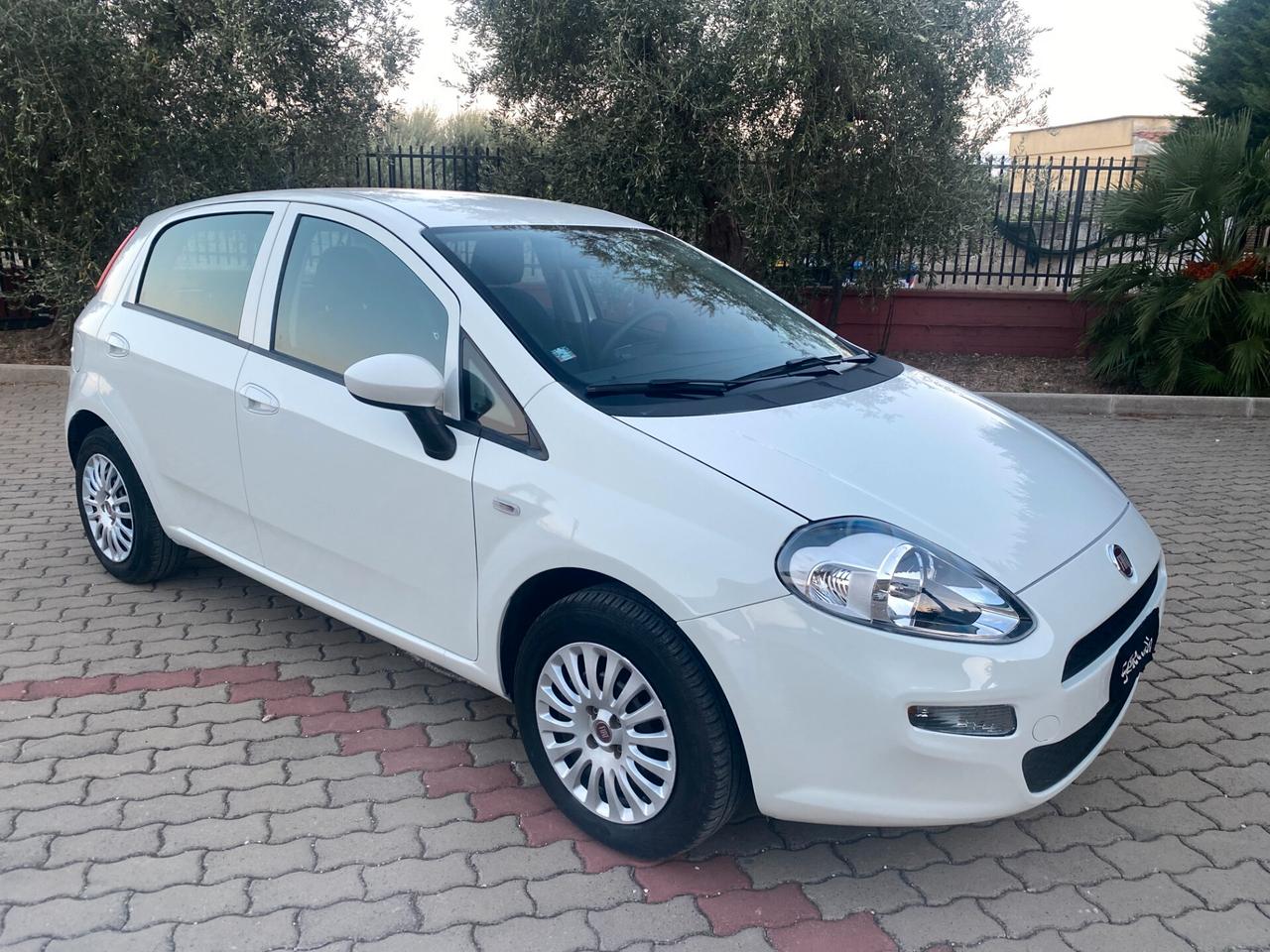 Fiat Punto 1.2 8V 5 porte Street KM CERTIFICATI