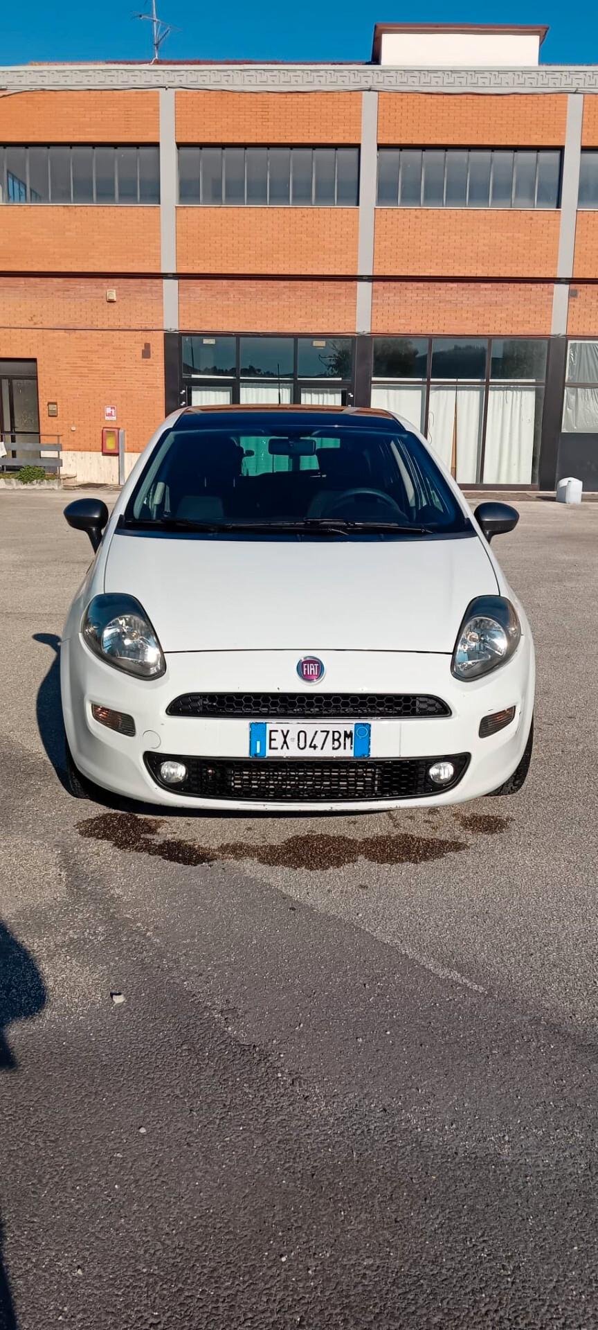 Fiat Punto 1.3 MJT II 75 CV 5 porte Lounge