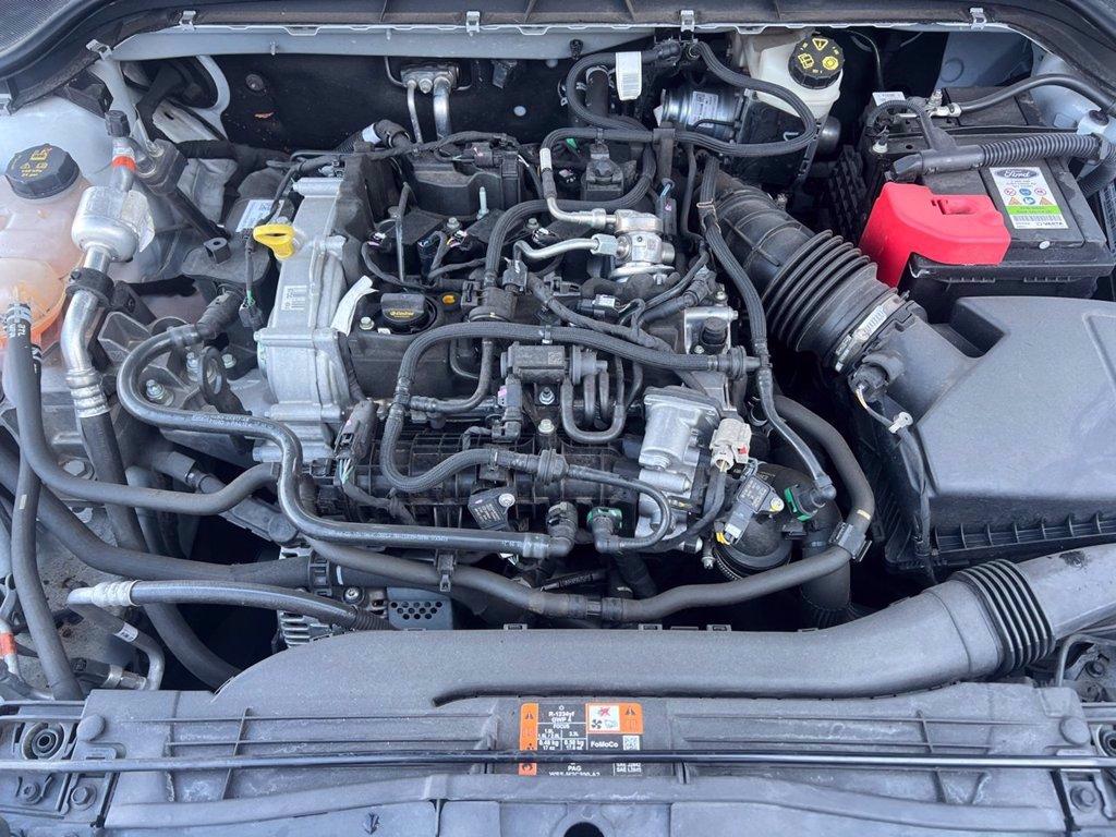 FORD Focus 1.0 EcoBoost Hybrid 125 CV 5p. Active del 2022