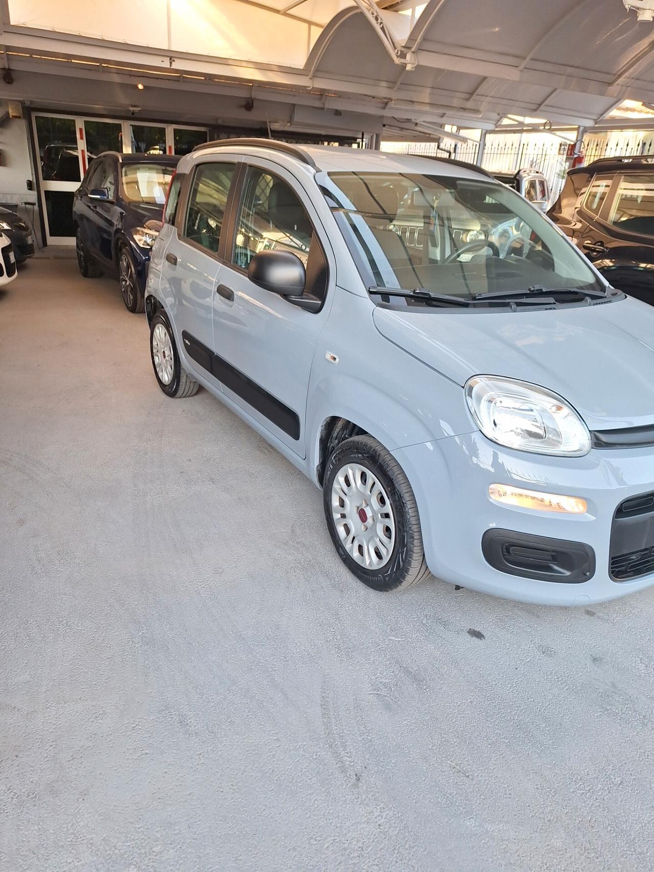 Fiat Panda 1.2 Easy 02/2020
