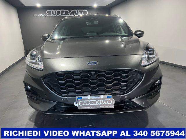 FORD Kuga 1.5 EcoBlue 120 CV aut. 2WD ST-Line