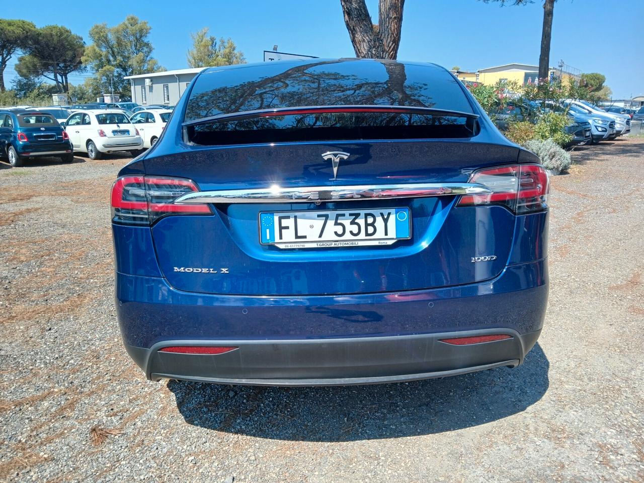 Tesla Model X Model X 100kWh Dual Motor
