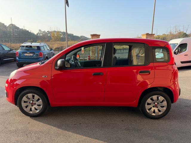 FIAT Panda 1.2 Easy 5 POSTI (NESSUN VINCOLO)