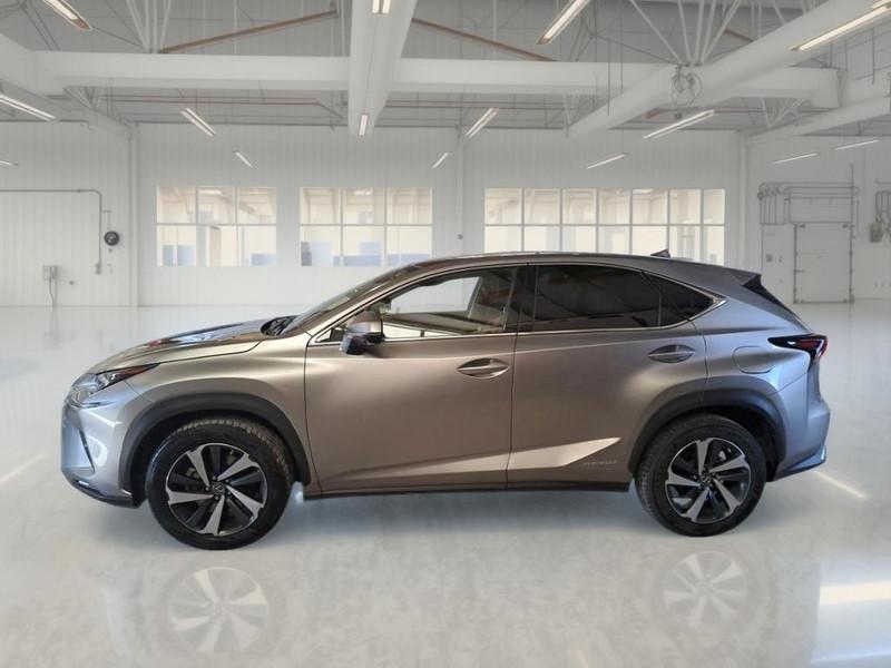 LEXUS NX Hybrid Luxury 4WD
