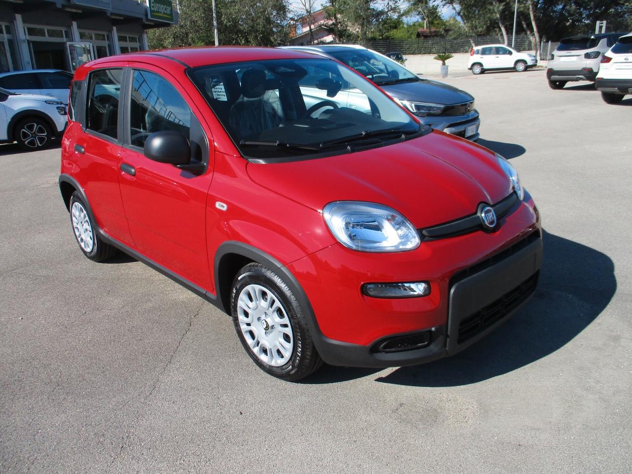 Fiat Panda 1.0 FireFly S&S Hybrid Pandina