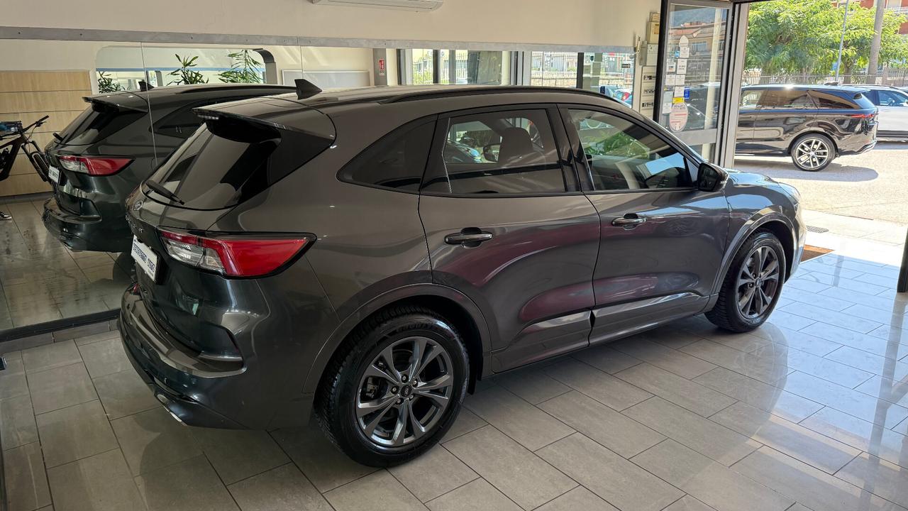 Ford Kuga 2.0 EcoBlue 120CV ST LINE