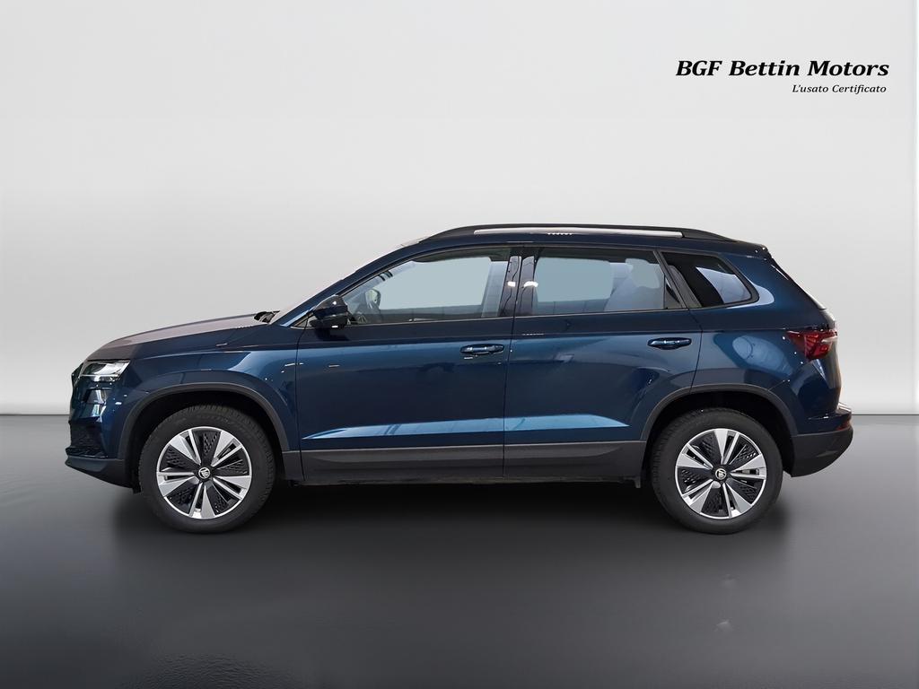 Skoda Karoq 2.0 tdi evo Executive 115cv dsg
