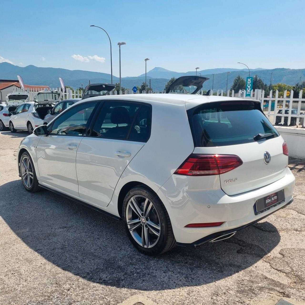 Volkswagen Golf 1.6 TDI 115 CV 5p. R LINE